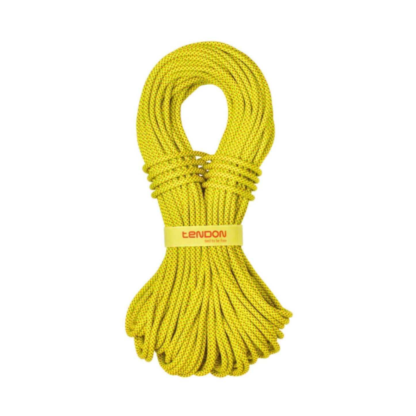 Tendon Alpine 7.9 mm Dinamik Yarı/Çift Halat – 40 m